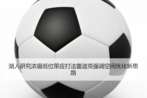 湖人研究浓眉低位策应打法雷迪克强调空间优化新思路